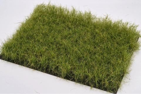 Late summer grass mat