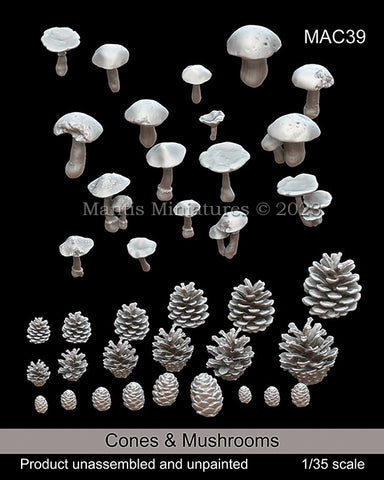 Mushrooms & pine cones