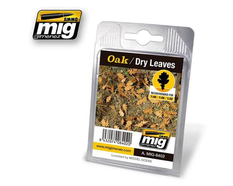 Oak-Dry leaves