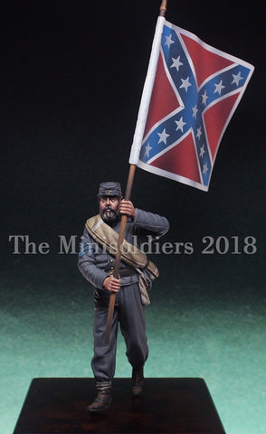Confederate standard-bearer