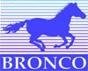 Bronco Models