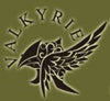 Valkyrie Miniatures