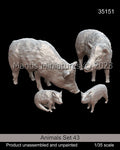 Animal set 43