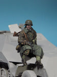 WSS Besatzungsmitglied #5 Sd.Kfz 251 WWII
