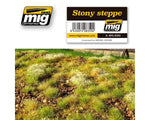 Steinige Steppe