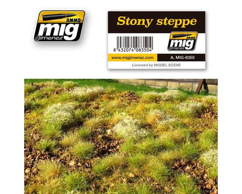 Steinige Steppe