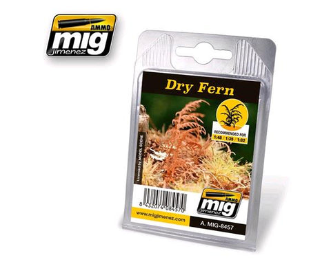 Dry fern