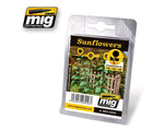 Sonnenblumen