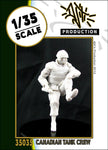 Canadischer Panzersoldat