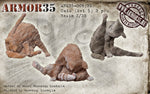 Katzen Set #5