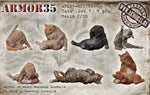 Katzen Set #7