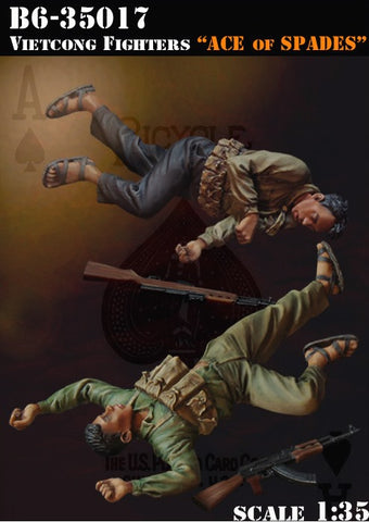Vietcong Fighters " Aces of Spades"