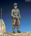 WSS Standartenführer