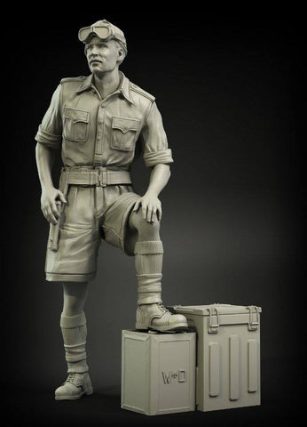 British RAC Officer North Africa #1
