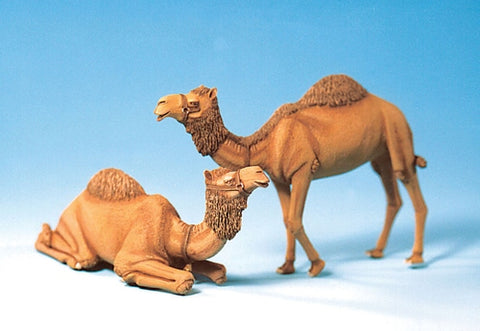 Camel Set