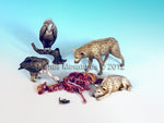 Animal Set 13