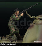 Achtung Jabo ! WSS Panzer crewman with MG34 1944