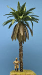 Realistische Palme #1
